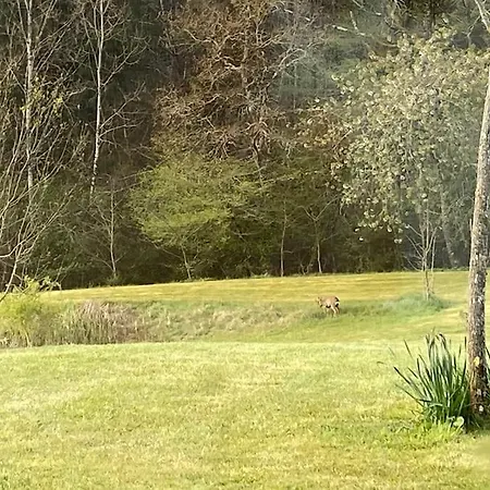Entier De Charme, Equestre Gers Flamarens