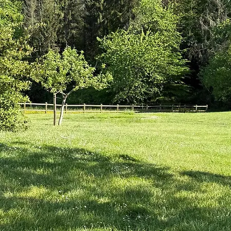 Entier De Charme, Equestre Gers * Flamarens