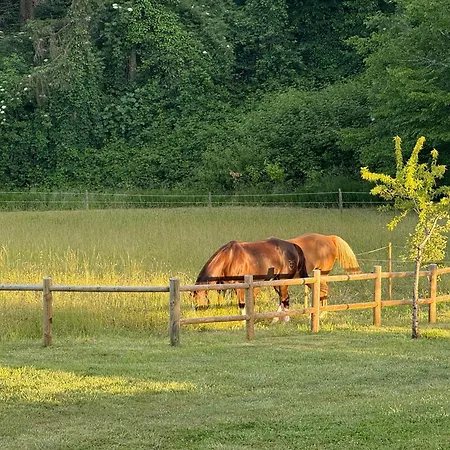 Apartment Entier De Charme, Equestre Gers