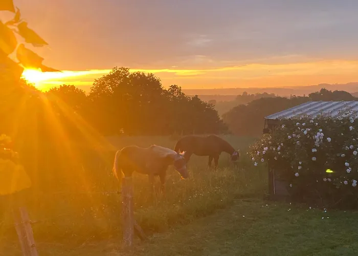 Entier De Charme, Equestre Gers *