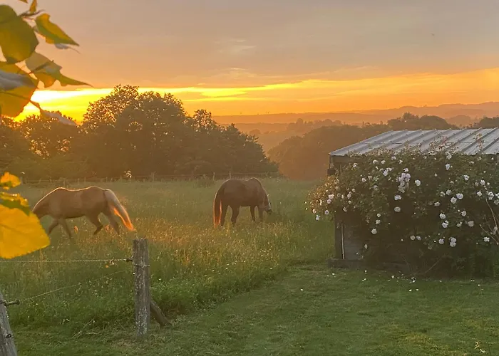 Entier De Charme, Equestre Gers Flamarens