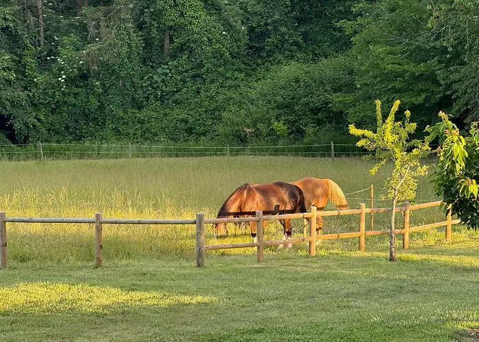 Apartment Entier De Charme, Equestre Gers