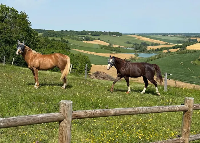 Entier De Charme, Equestre Gers *