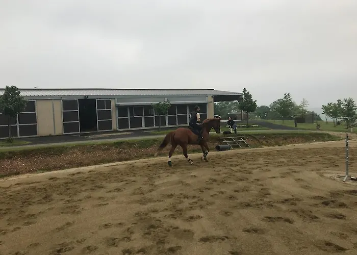 Apartment Entier De Charme, Equestre Gers