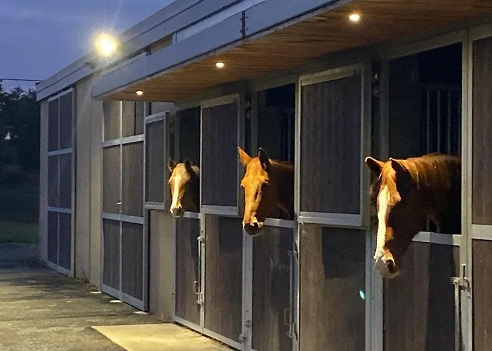 Apartment Entier De Charme, Equestre Gers *