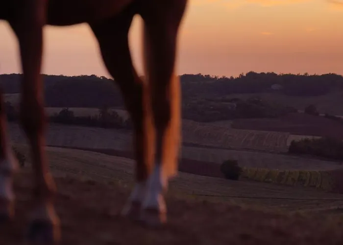 Apartment Entier De Charme, Equestre Gers