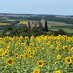 Entier De Charme, Equestre Gers Flamarens