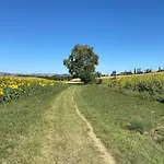 Entier De Charme, équestre Gers *