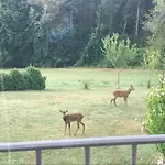 Entier De Charme, Equestre Gers 아파트 *