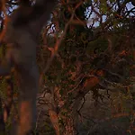 Entier De Charme, Equestre Gers