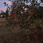 Entier De Charme, Equestre Gers