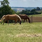 Entier De Charme, Equestre Gers 아파트 *