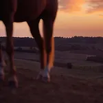 아파트 Entier De Charme, Equestre Gers