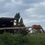 아파트 Entier De Charme, Equestre Gers