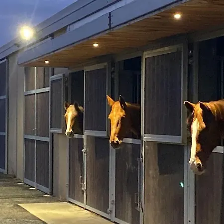 Apartment Entier De Charme, Equestre Gers Flamarens