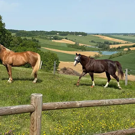 Entier De Charme, Equestre Gers *