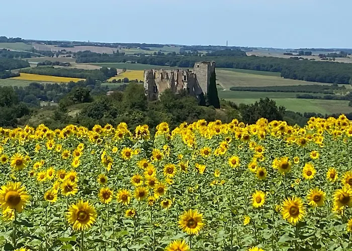Entier De Charme, équestre Gers Flamarens