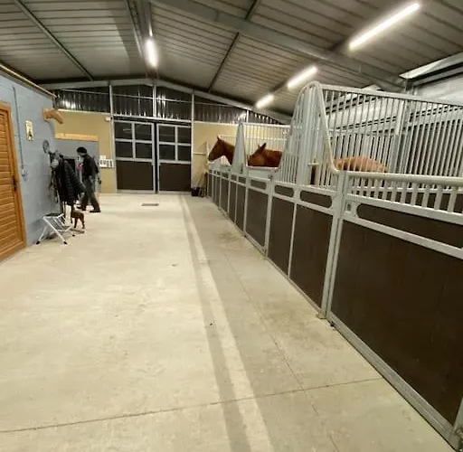 شقة Entier De Charme, Equestre Gers Flamarens