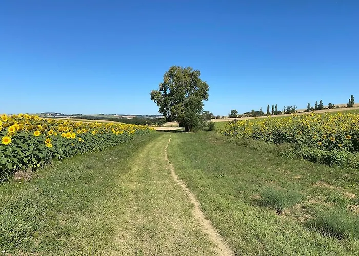 Entier De Charme, Equestre Gers *