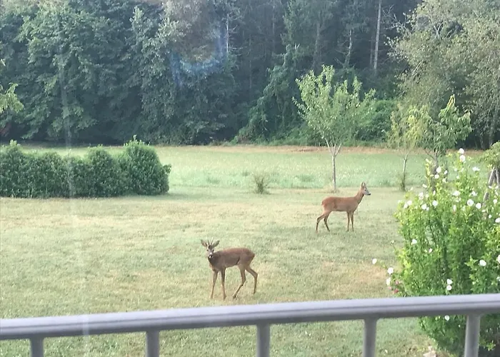 Entier De Charme, Equestre Gers アパート *