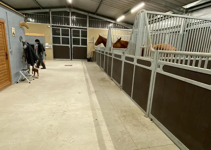 Entier De Charme, Equestre Gers