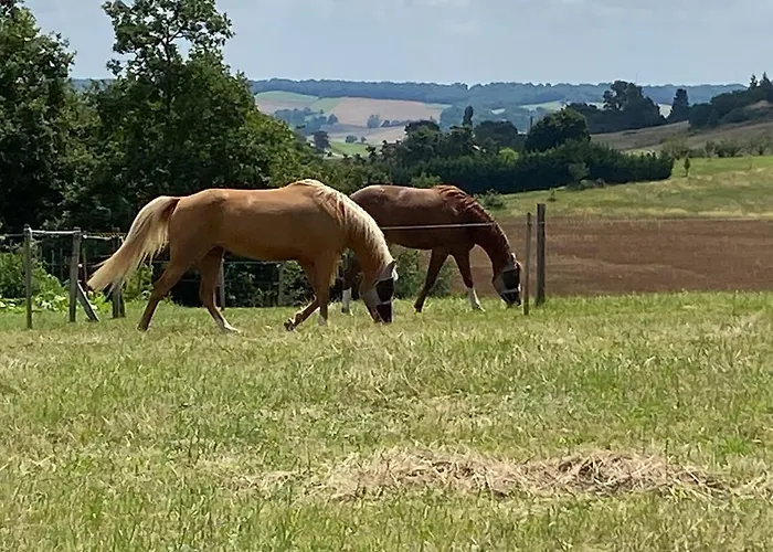 Entier De Charme, Equestre Gers アパート *