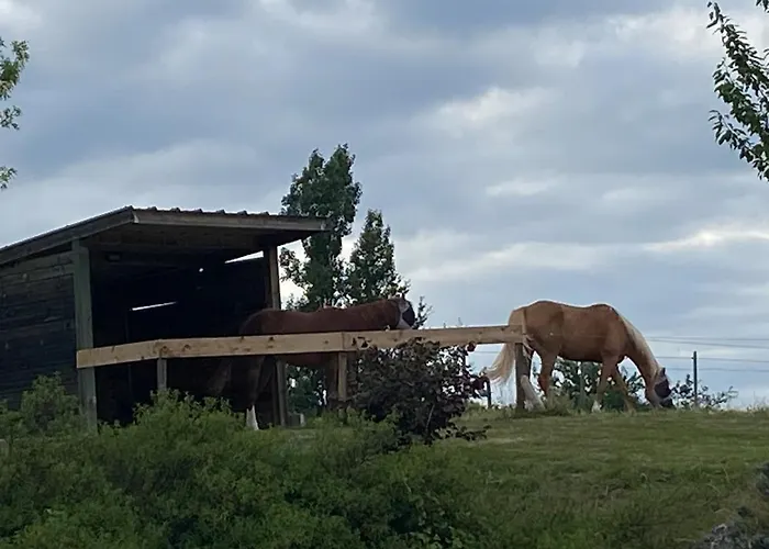 アパート Entier De Charme, Equestre Gers