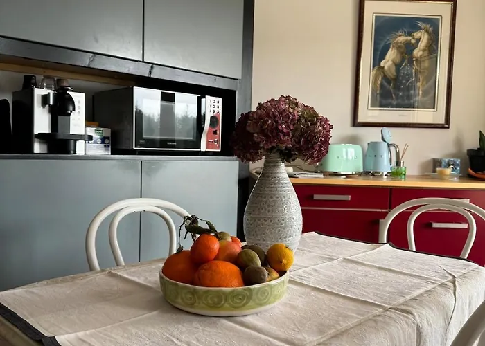 Entier De Charme, équestre Gers *