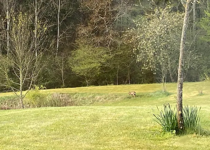 Entier De Charme, Equestre Gers *